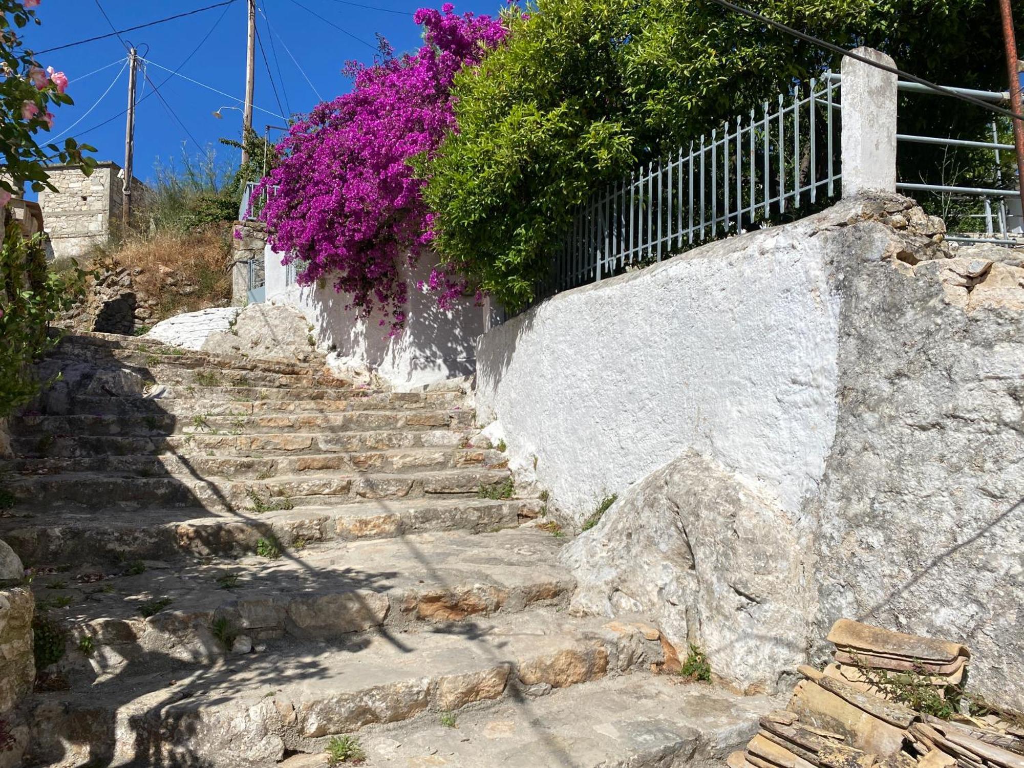 Antiklea Villa Vathy  Buitenkant foto